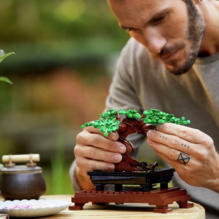 LEGO Icons Bonsai Tree 10281 building kit (British brand)
