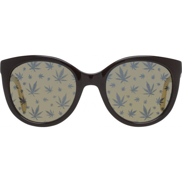 Police SPL408E brown acetate sunglasses, UK version