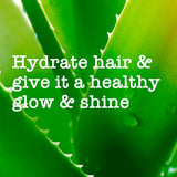 Maui Moisture Coconut Milk Conditioner, imported from the UK