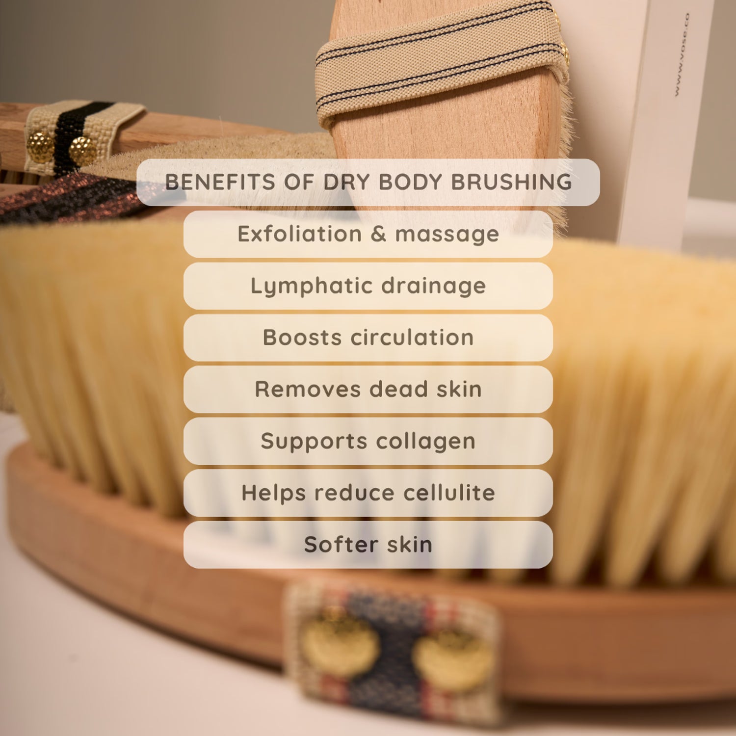 Vegan cactus bristle dry body brush - British product