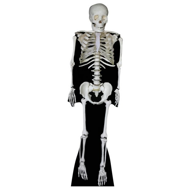 Star Cutouts skeleton cardboard cutout life-size (British brand)