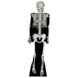 Star Cutouts skeleton cardboard cutout life-size (British brand)