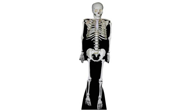 Star Cutouts Skeleton Cardboard Cutout