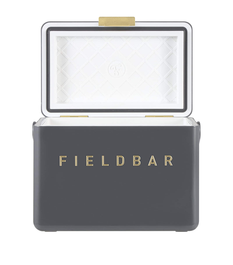 Fieldbar mini bar cooler box with leather sling 4L - British product