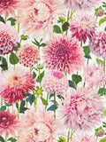 Harlequin Pink Dahlia floral wallpaper with hand-painted design (British brand)