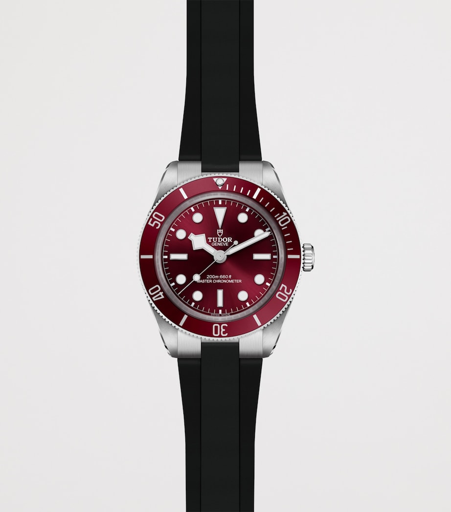 TUDOR Black Bay 58 diver's watch 39mm (British brand)