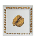 Fornasetti Square Giro di Conchiglie Plate 20cm x 20cm - British product