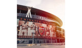 Buyagift Arsenal Emirates Stadium Tour For 2 Gift Experience GOODS Argos