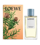 LOEWE Cypress Balls room spray 150ml - British product