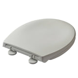 Bemis 2-in-1 family toilet seat white, imported from the UK