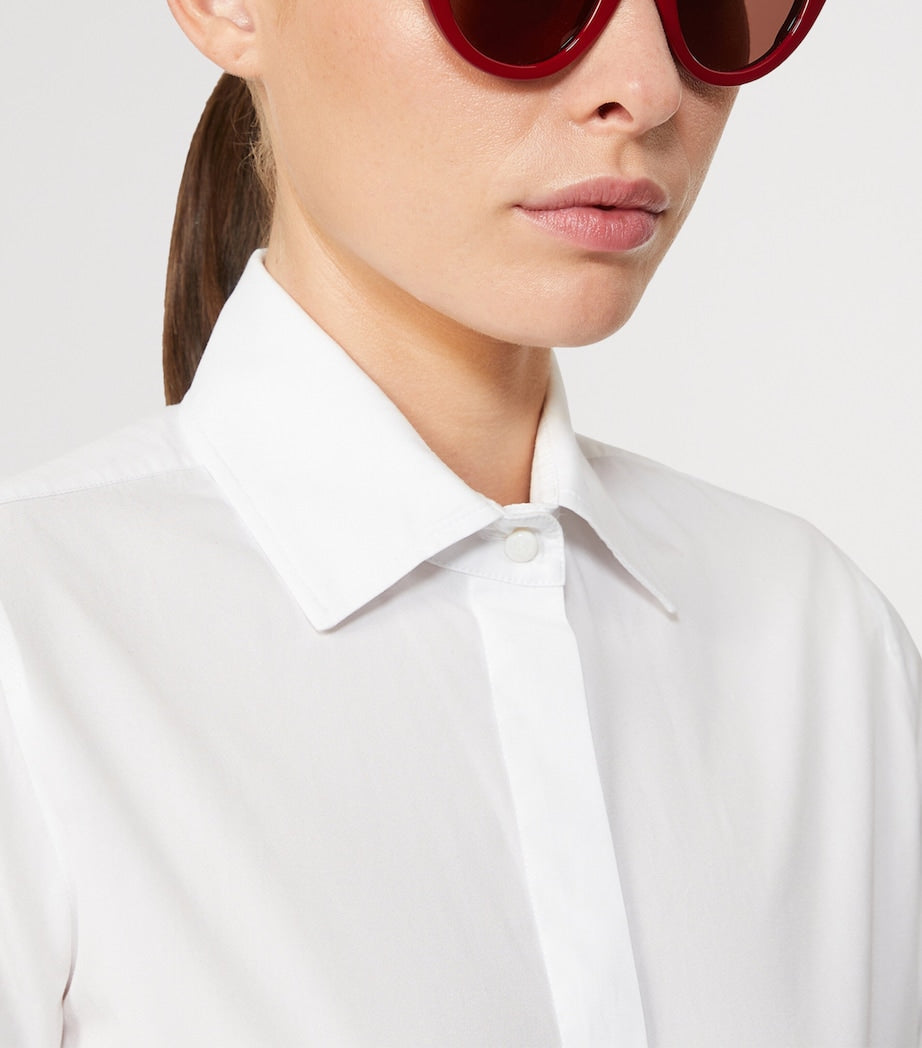 Max Mara Butterfly sunglasses, imported from the UK