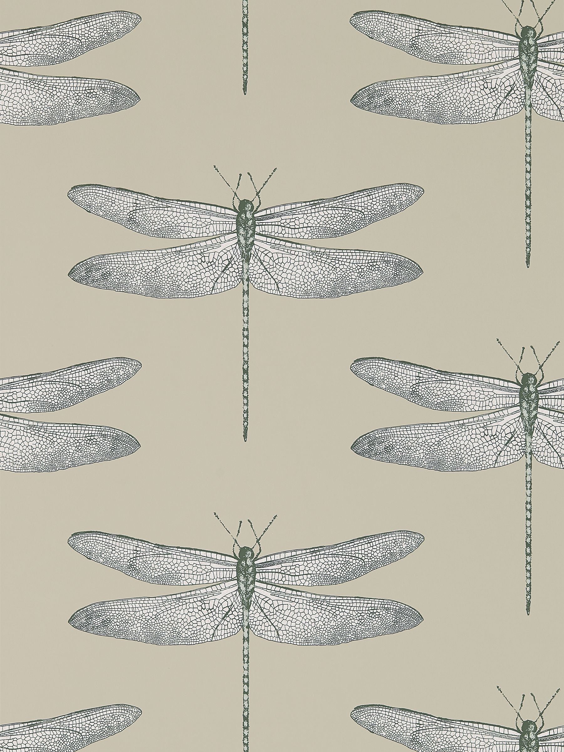 Harlequin Natural Demoiselle wallpaper 10.05m, UK version