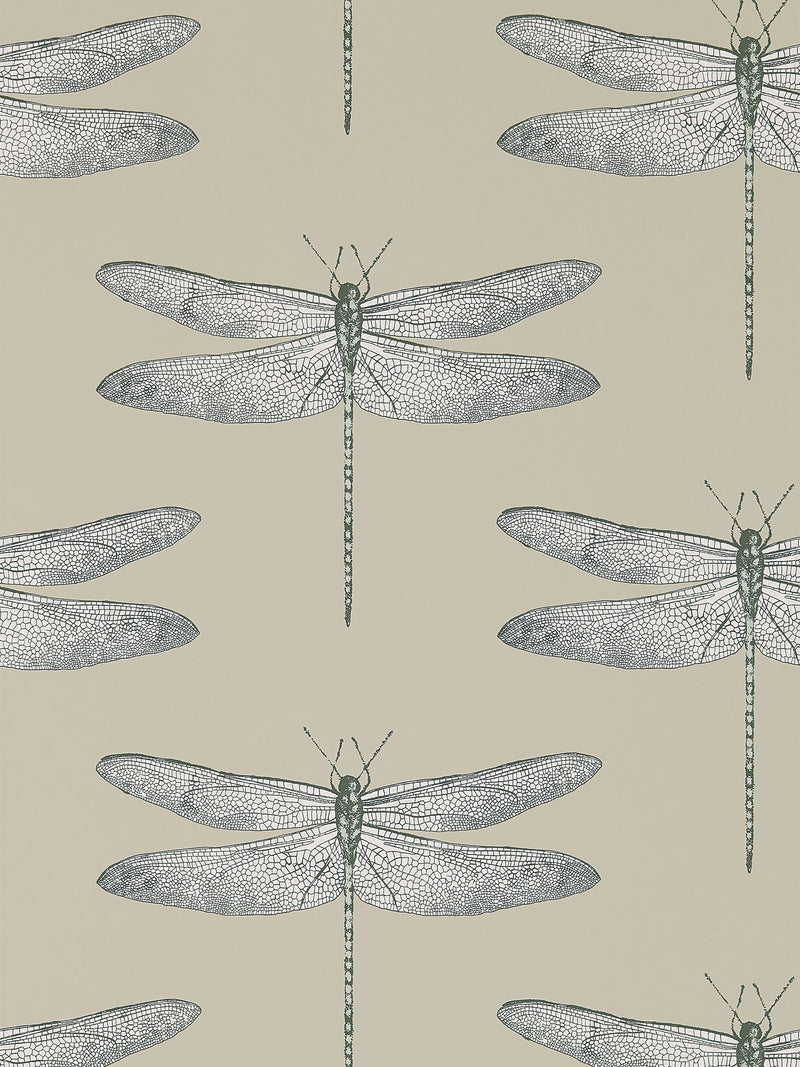 Harlequin Natural Demoiselle wallpaper 10.05m, UK version