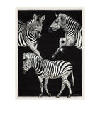 Dolce&Gabbana Casa Silk Zebra Quilted Throw 140cm x 180cm - British product
