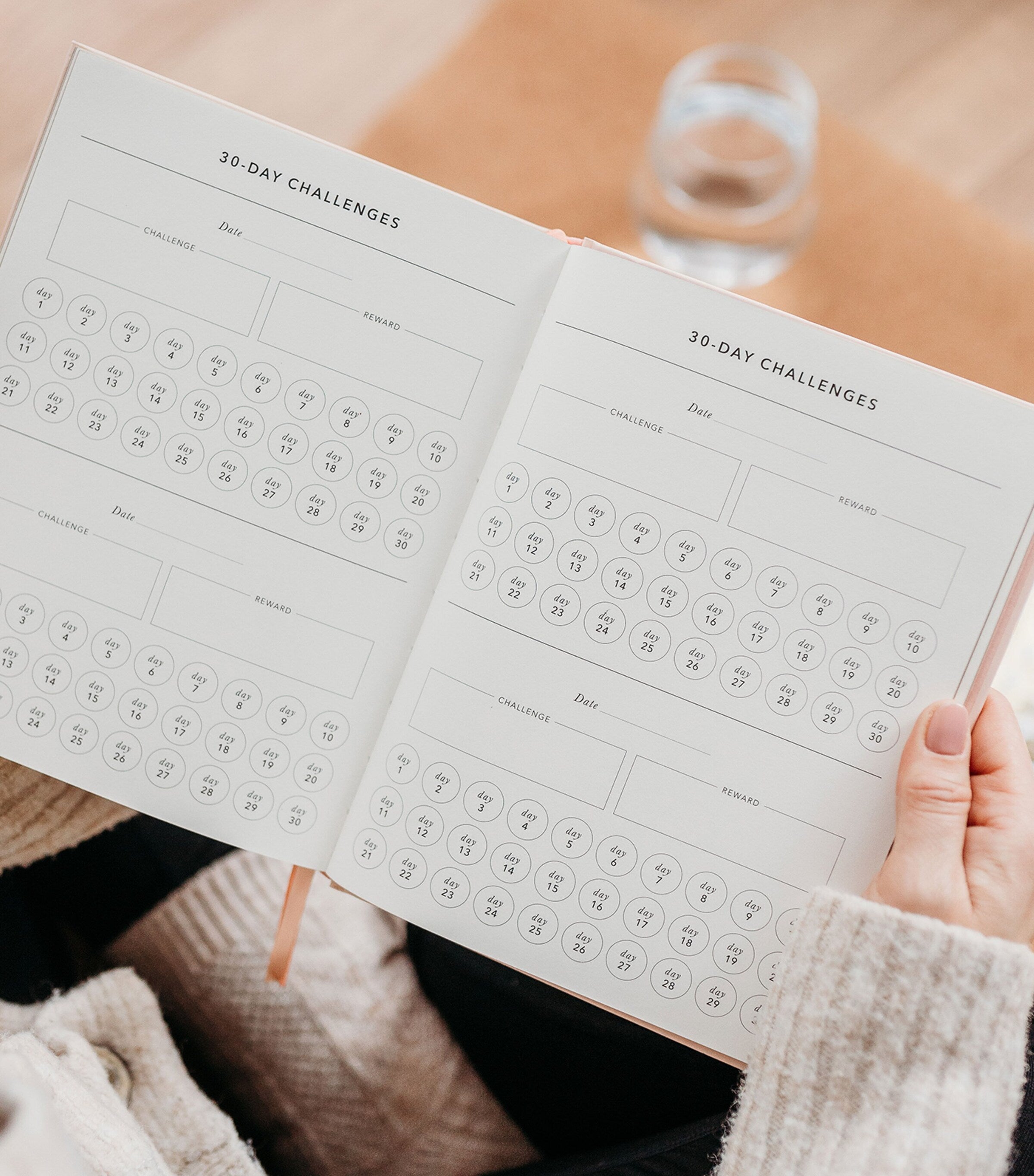 Blush and Gold Fitness Meal Planner - British product