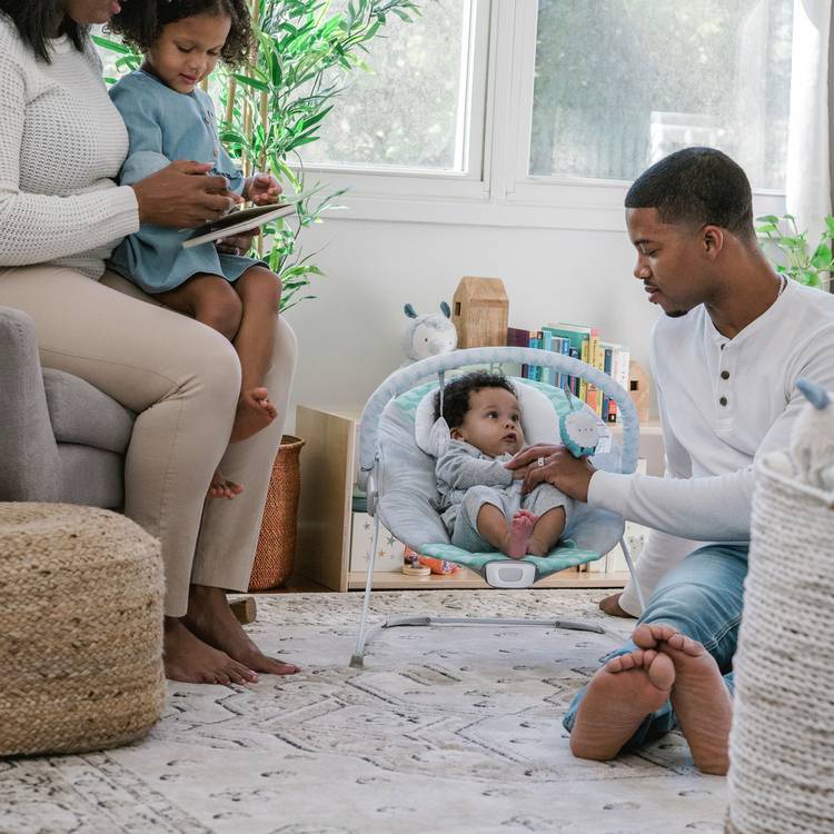 Ingenuity Bouncity Bounce Deluxe vibrating baby bouncer (British brand)