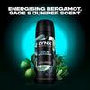 Lynx Fine Fragrance Aqua Bergamot Deodorant Spray 150ml, UK version