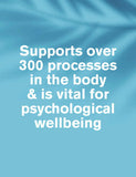 DR.VEGAN magnesium supplement capsules - British product