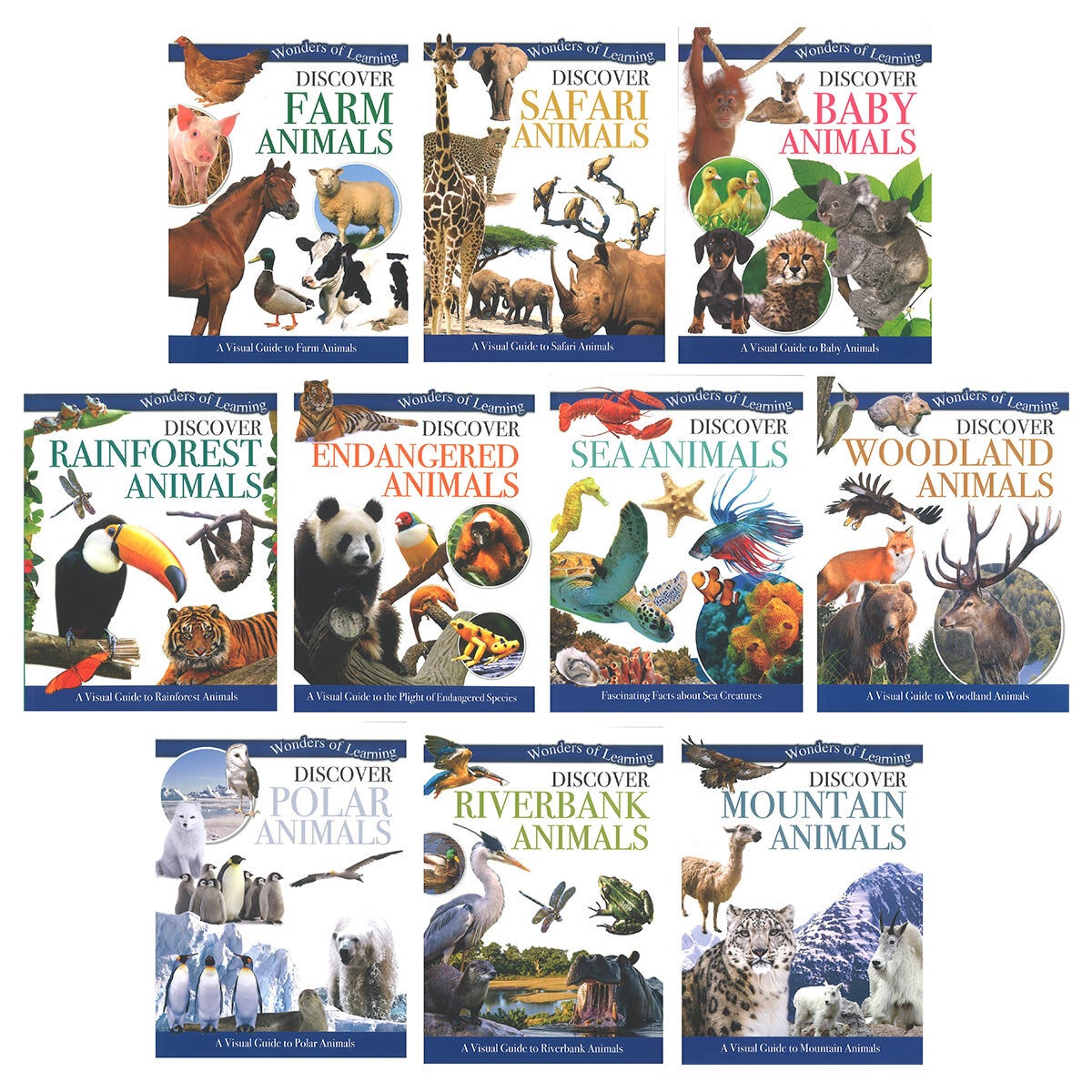 Discover Book & Poster Assortment (8+ Years) - 10 Reference Books and 5 Posters