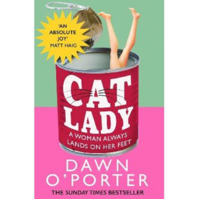 Dawn O'Porter Cat Lady book novel, imported from the UK
