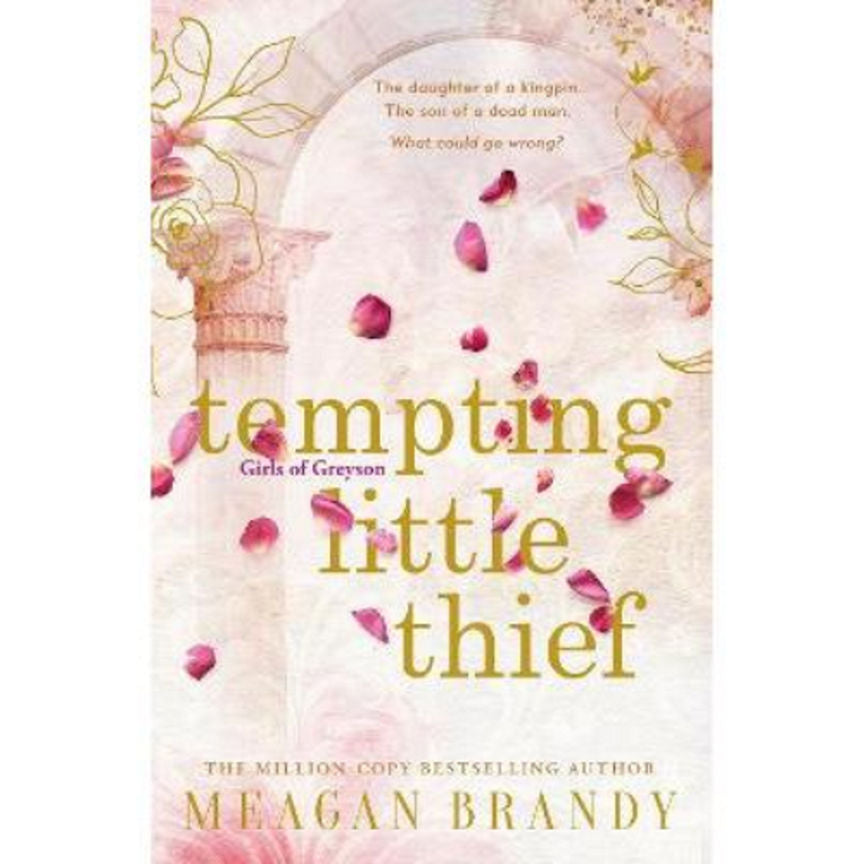 Paperback Tempting Little Thief by Meaghan Brandy GOODS ASDA   