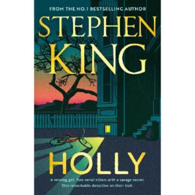 Hardback Holly - Stephen King
