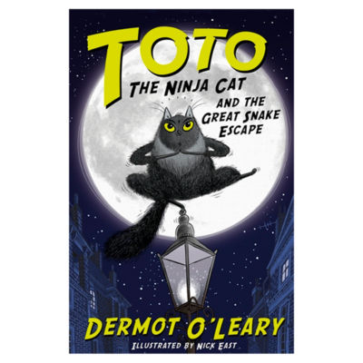 Toto the Ninja Cat-bok av Dermot O'Leary - Britisk produkt