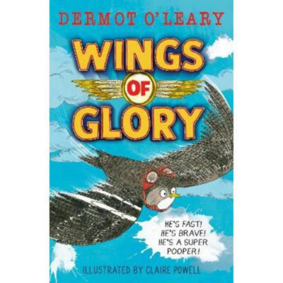 Wings of Glory children's book by Dermot O'Leary (British brand)