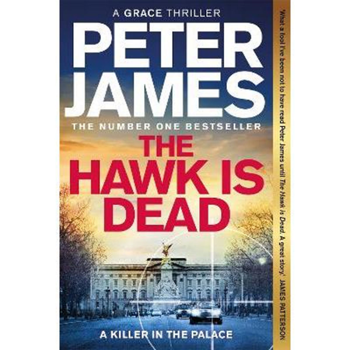 Peter James Hawk Is Dead crime thriller paperback - British product