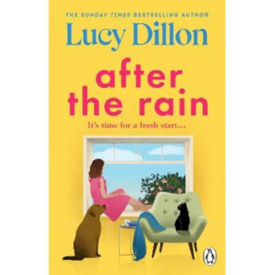 Lucy Dillon After the Rain paperback novel (British brand)