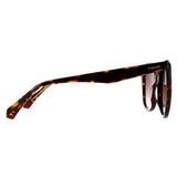 Polaroid sunglasses PLD 4096/S/X brown gradient, imported from the UK