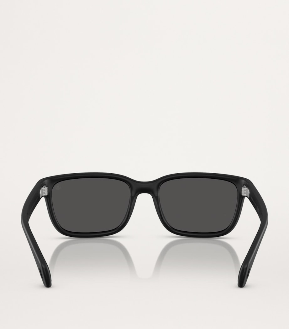 Moncler sunglasses Injected Slicka ME8002 - British product