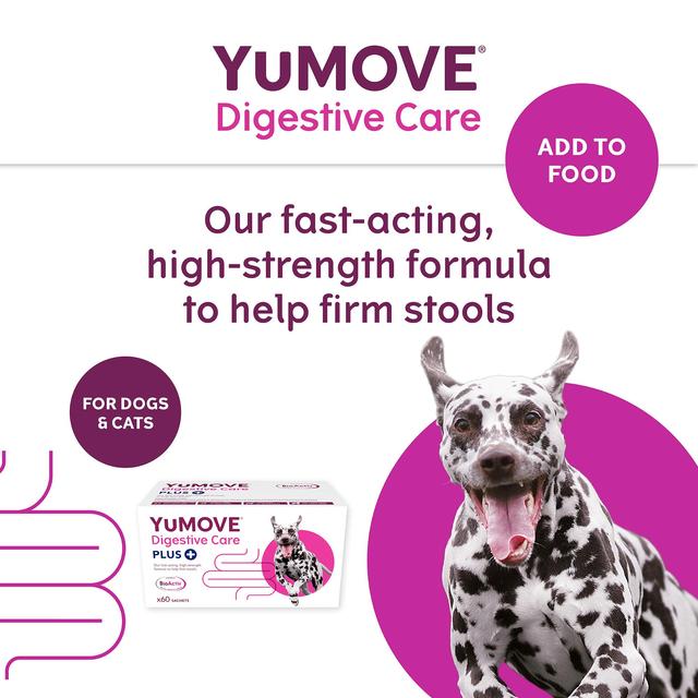 YuMOVE PLUS Dog Digestive Health Supplement   60 per pack GOODS M&S   