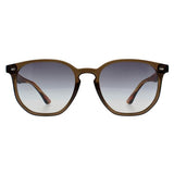 Ted Baker sunglasses TB1655 Dock brown gradient, UK version