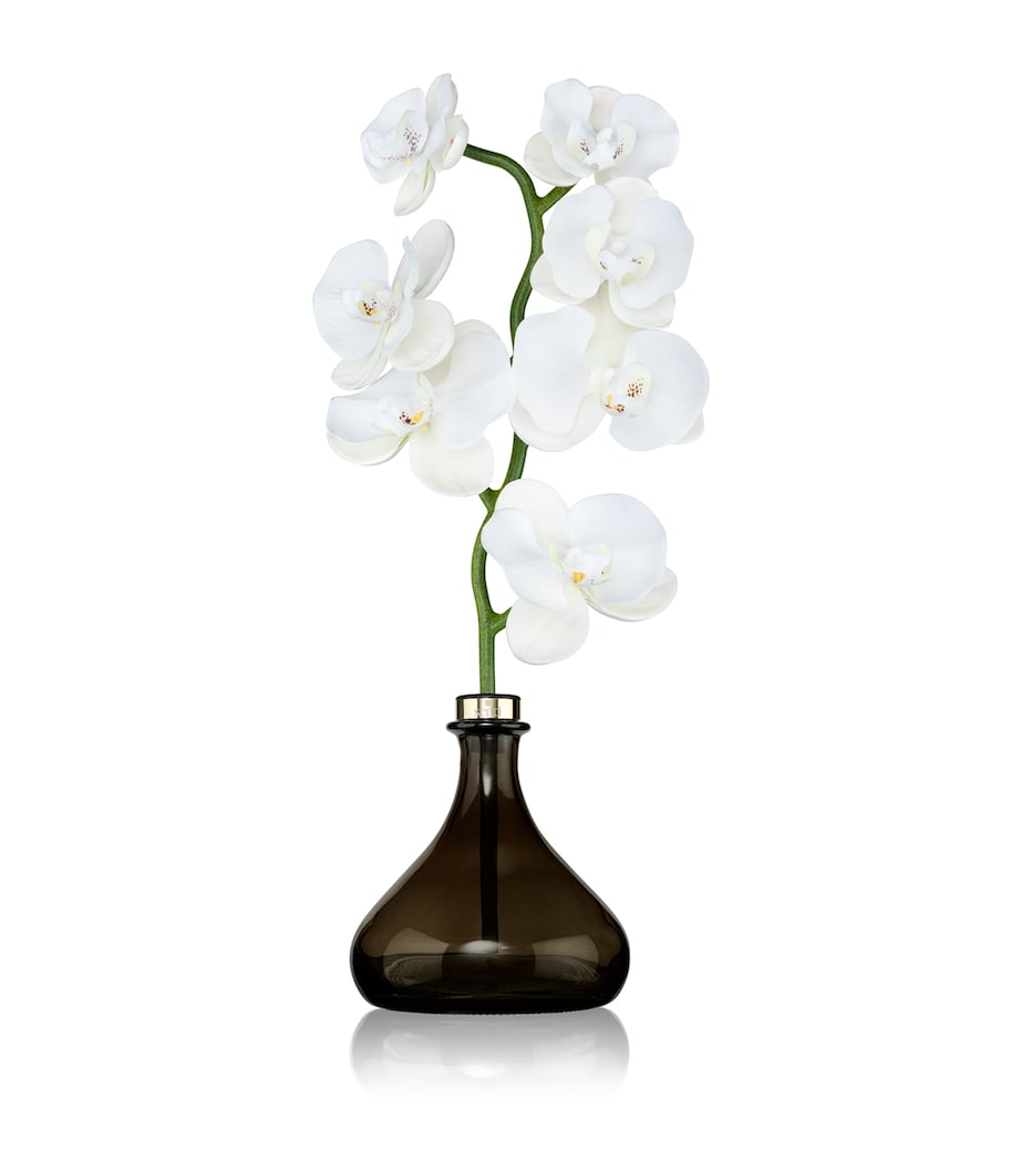 Senti Orchid Diffuser Pepper & Spice 250ml (British brand)