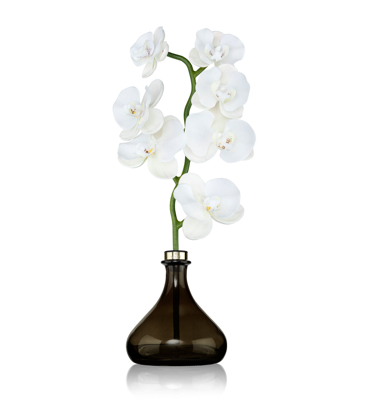 Senti Orchid Diffuser Pepper & Spice 250ml (British brand)