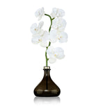 Senti Orchid Diffuser Pepper & Spice 250ml (British brand)