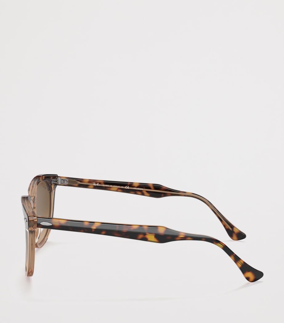 Ray-Ban Hawkeye sunglasses with acetate frame (British brand)