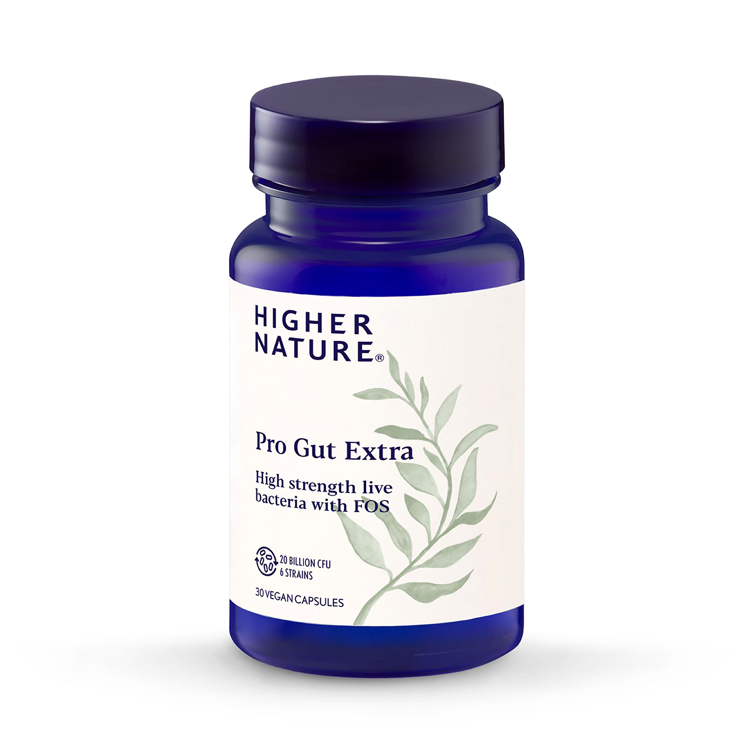 Higher Nature Pro-Gut Extra probiotic supplement 30 capsules (British brand)