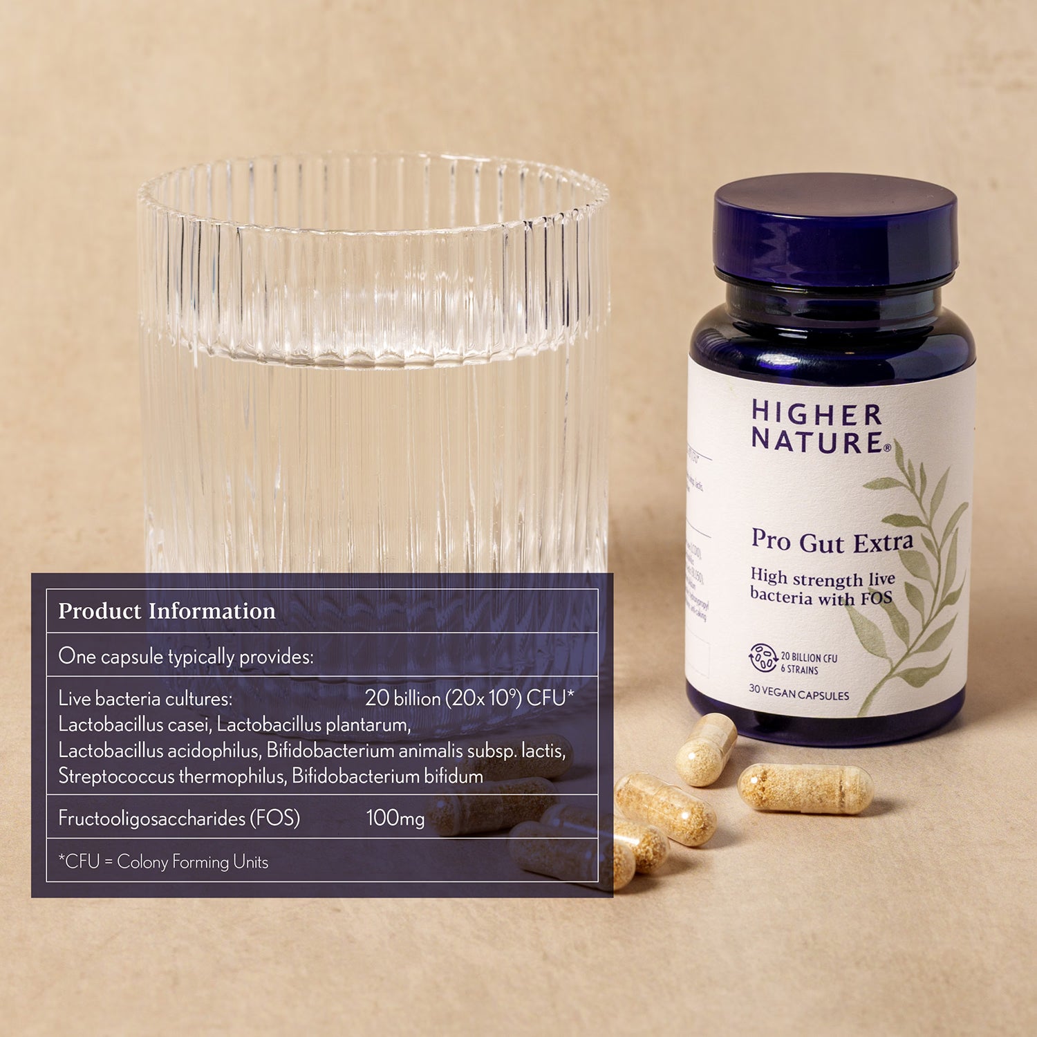 Higher Nature Pro-Gut Extra probiotic supplement 30 capsules (British brand)