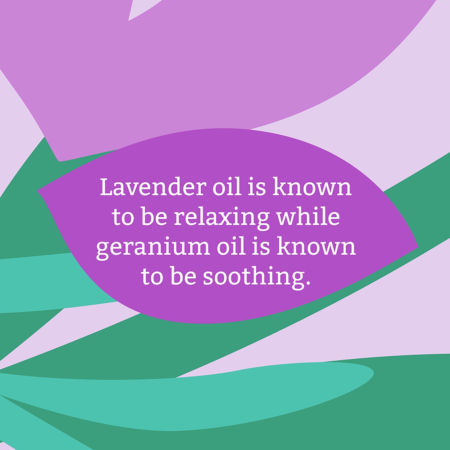 Faith In Nature Lavender Geranium hand wash 5L - British product