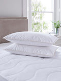 Soft Goose Feather and Down Pillows 2 Pack