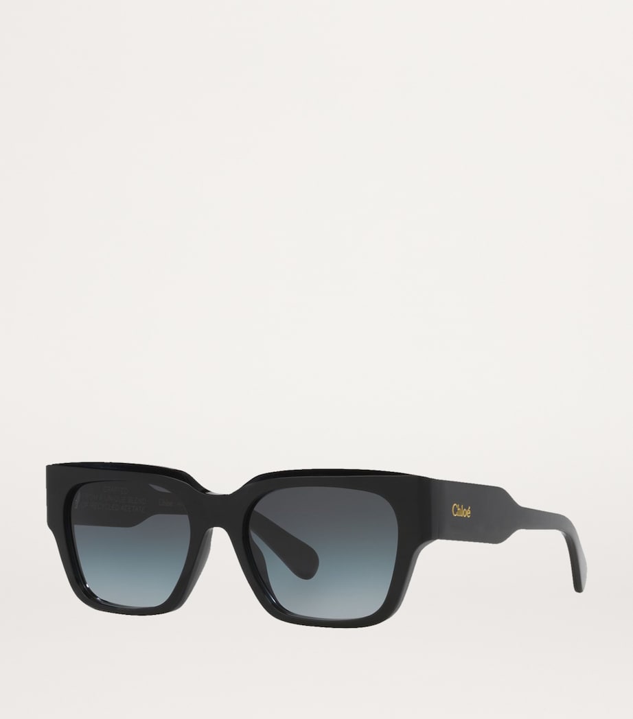 Chloé acetate sunglasses (British brand)