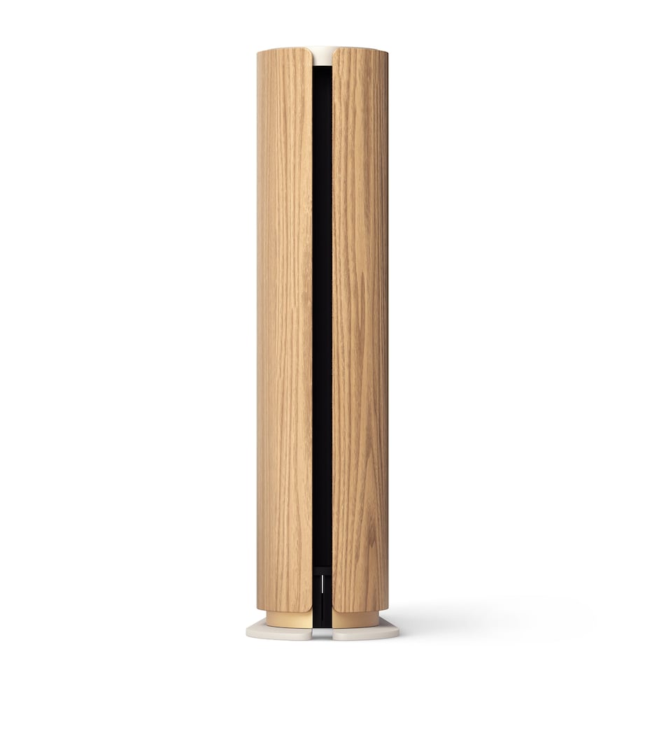 Bang & Olufsen Beosound Emerge AL2 speaker - British product