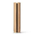Bang & Olufsen Beosound Emerge AL2 speaker - British product