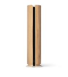 Bang & Olufsen Beosound Emerge AL2 høyttaler – britisk produkt