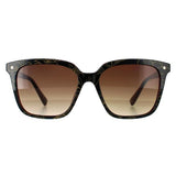 Ted Baker TB1676 Ramona Brown women's sunglasses, UK version