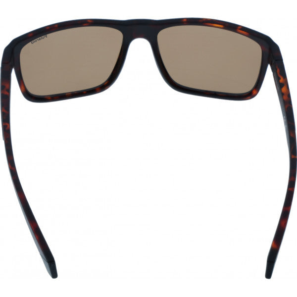 Polaroid PLD 2158 S brown frame sunglasses, UK version