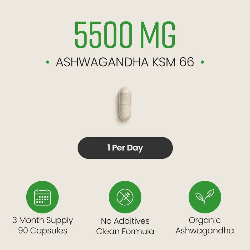 VitaBright Ashwagandha KSM-66 supplement 90 capsules - British product