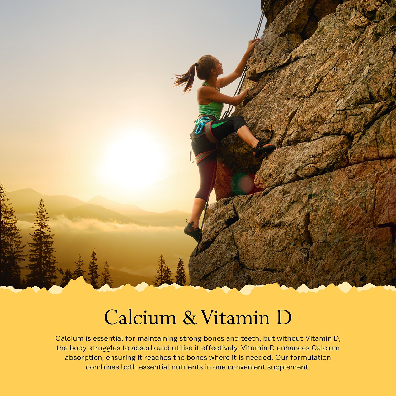 Solaray Calcium Citrate with Vitamin D 90 capsules (British brand)